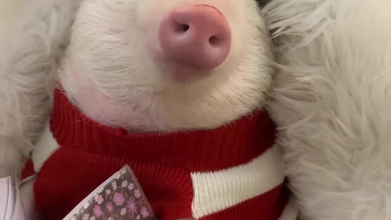 fficially Christmas timeš«”