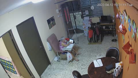 hallback day n night 20220412