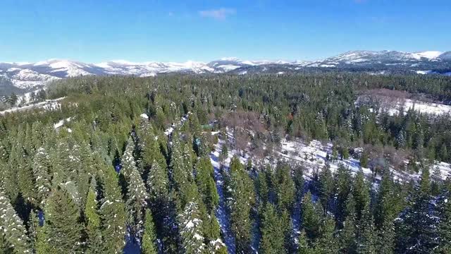 Tahoe National Forest DJI PHANTOM