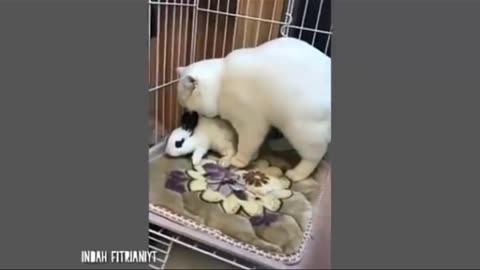 Funny movement 🤣 😄