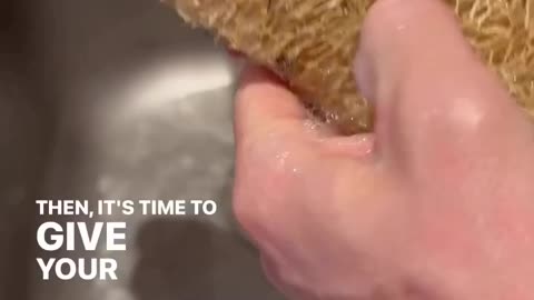 Loofah Sponges