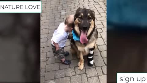 BABY PLAYS WITH DOG IN THE STREET