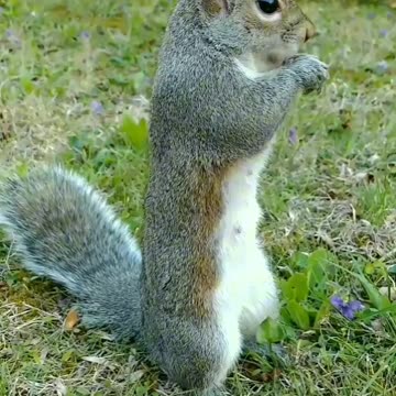 Isn't she cute and adorable?!!