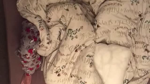 Sleep Time-Lapse