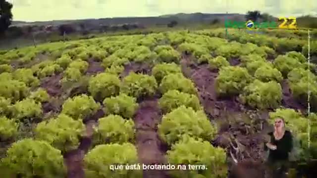 Vídeo Proibido Pelo PT