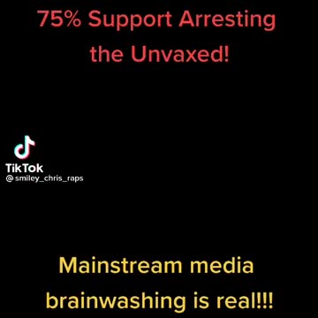 Idiots On The Street