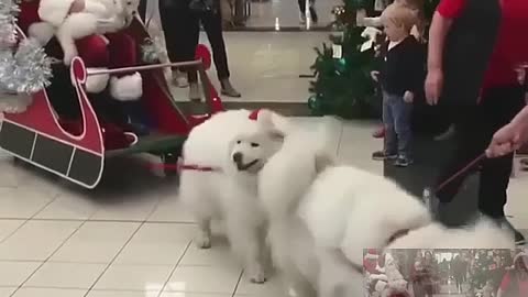 Santa Claus