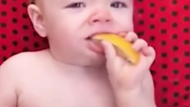 funny babies eating lemon - Lemon eating Challenge 🍋🍊