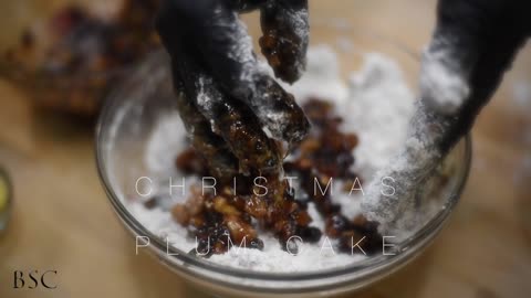 Plum Cake Promo Video