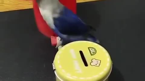 Smart bird