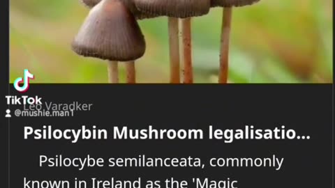 Petition for Psilocybin Legalisation in Ireland