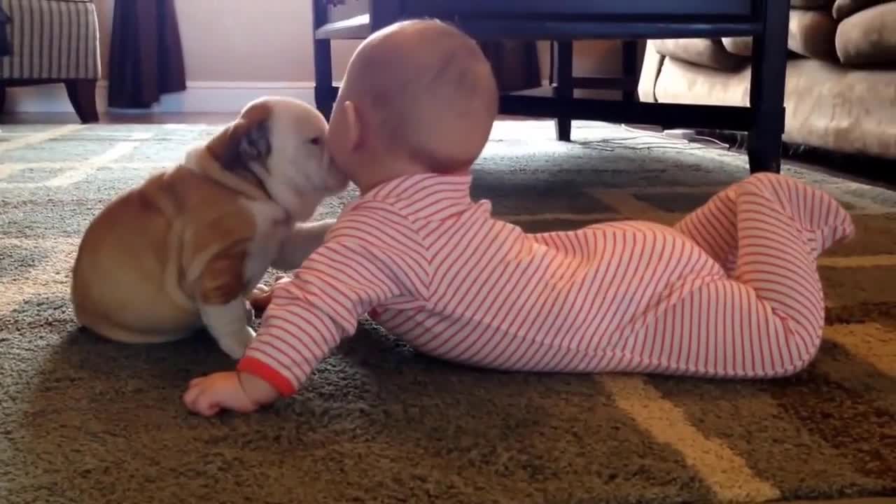 Dogs playing with Babies so nice and cute