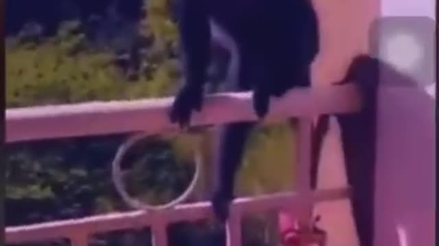 A lady liking and fearing a monkey passing by