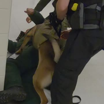 Helping Train Police Heroes to Save Lives