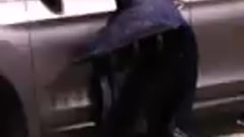 Dangerous German shepherd Owner in car short video