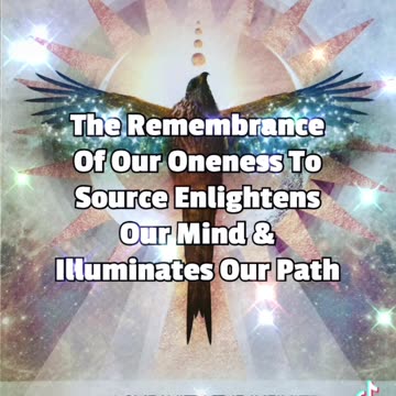 Sacred Womb Guidance 🕊️🌎🌹