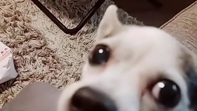 You feed me, but you do it without respect.