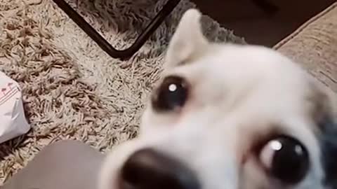 You feed me, but you do it without respect.