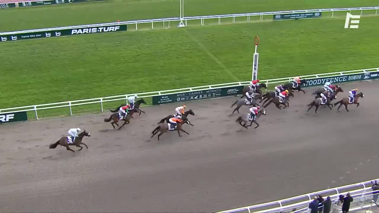 QUINTE + Bosioh - Prix Jacques Geliot - Cagnes-sur-Mer - 17/02/21