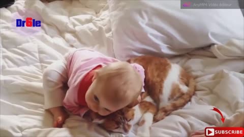 babies and cats a true love story