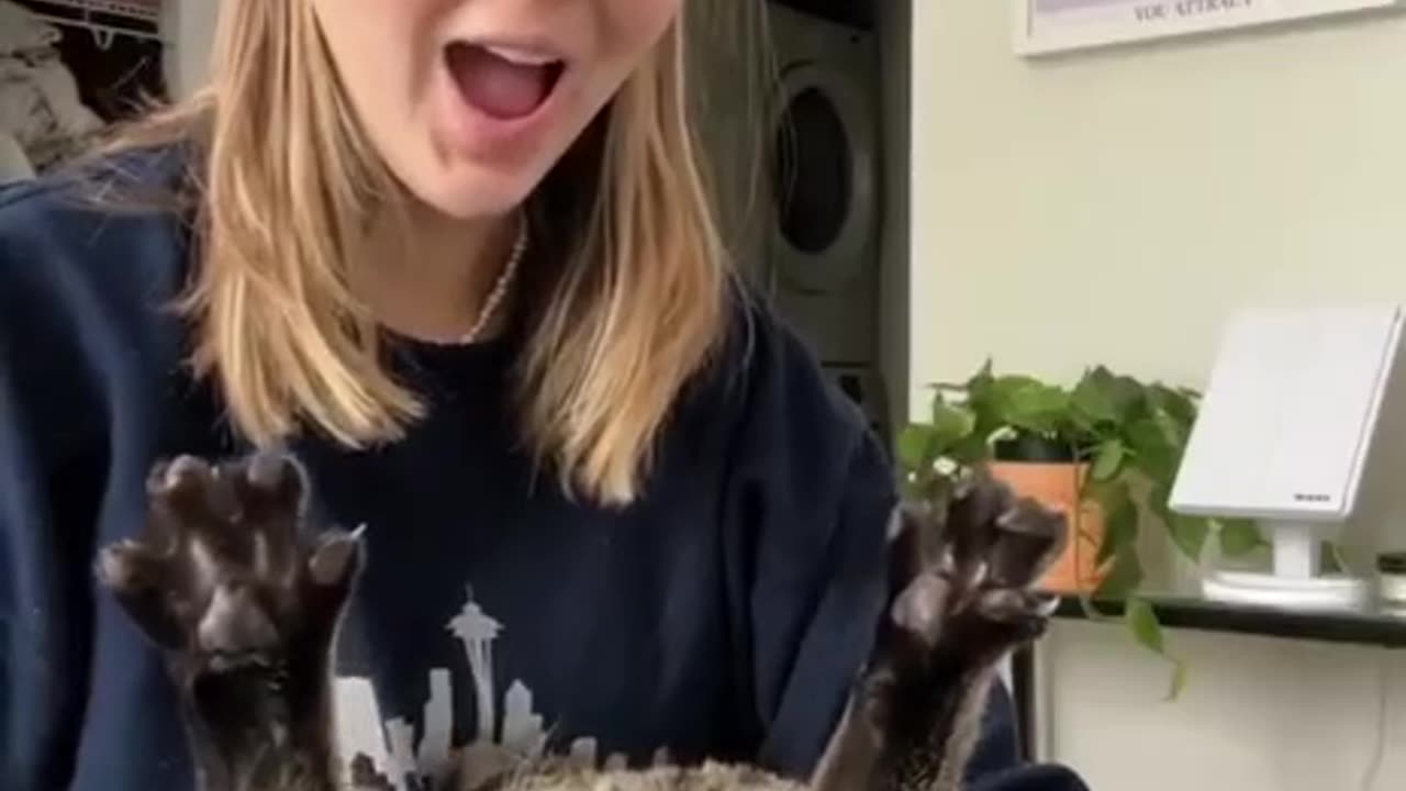 TRY NOT TO LAUGH 😆 Best Funny Videos Compilation 😂😁😆