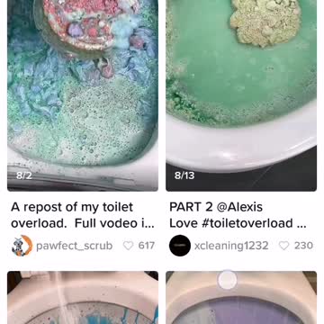 TikTok trend: Toilet overload