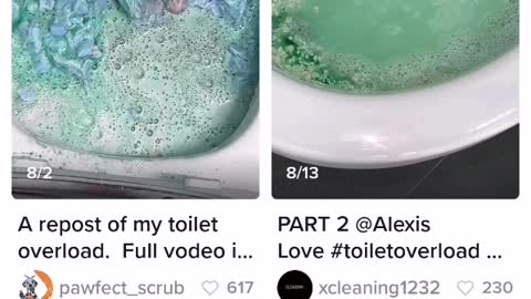 TikTok trend: Toilet overload