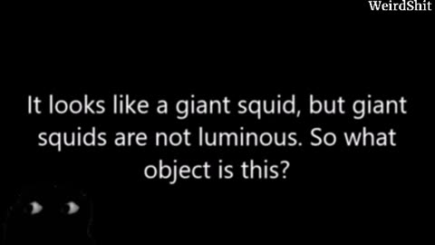 UNIDENTIFIED UNDERWATER OBJECT FILMED OFF THE PORT OF SAN DIEGO