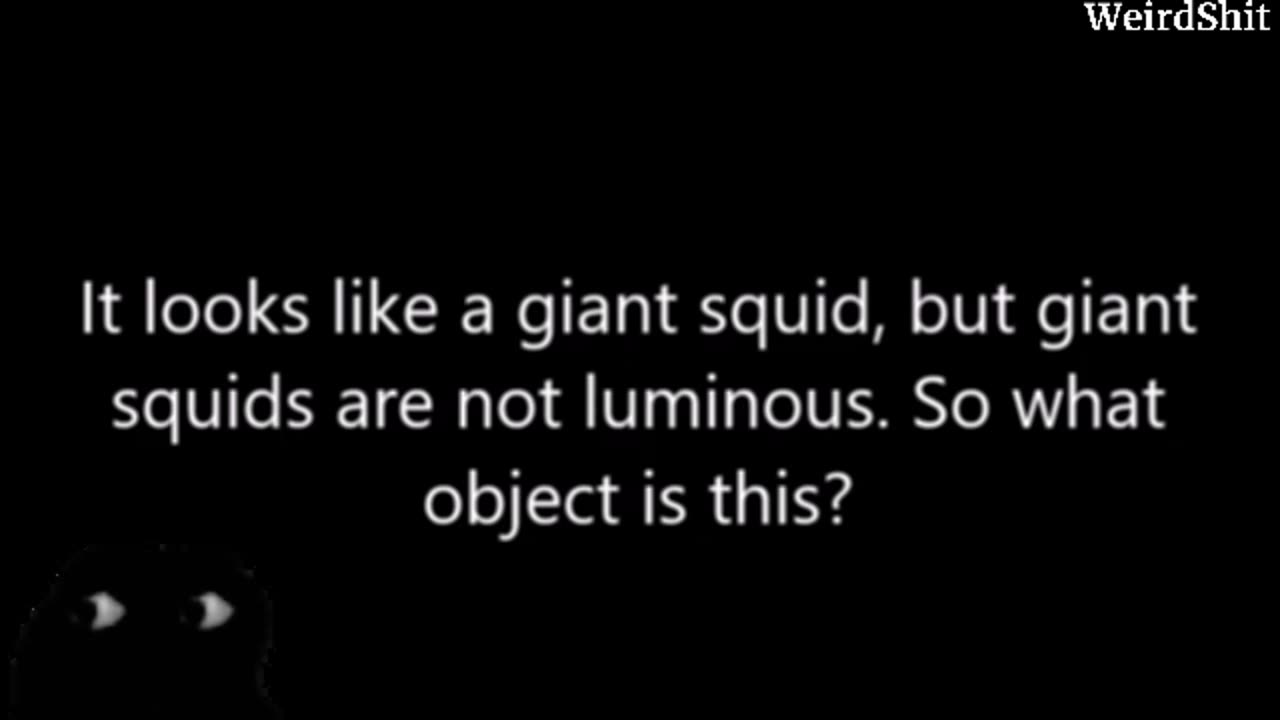 UNIDENTIFIED UNDERWATER OBJECT FILMED OFF THE PORT OF SAN DIEGO