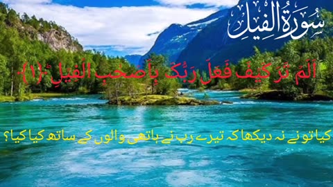 قرآن کی تلا وت خوب صورت اندازمے