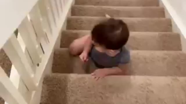Cute baby plays