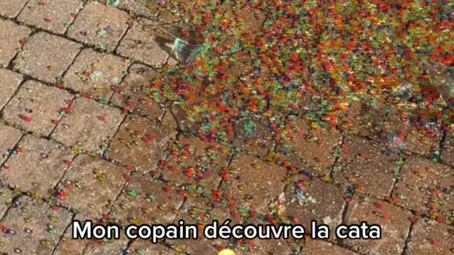 C'ÉTAIT SUR QUE ÇA TOMBERAIT 😭😭😭
