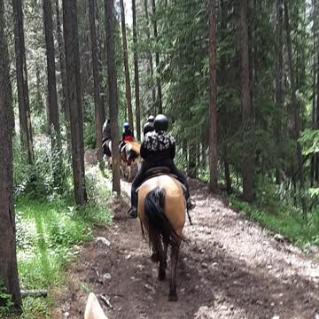 Horses Ride Banff Alberta Canada