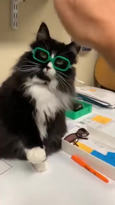 You look CABULOUS! I also love the glasses and the color