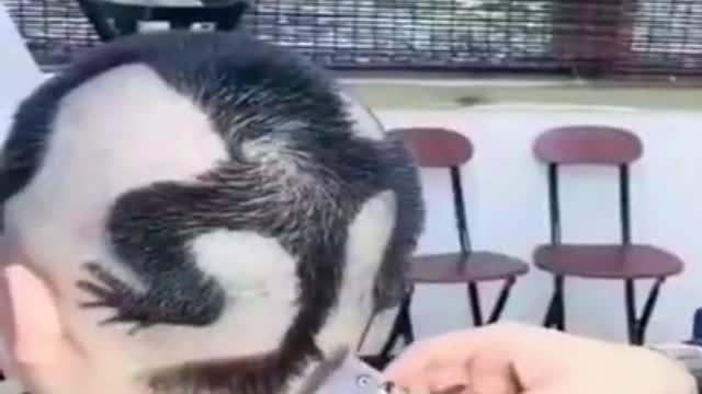 15 seconds short crazy video