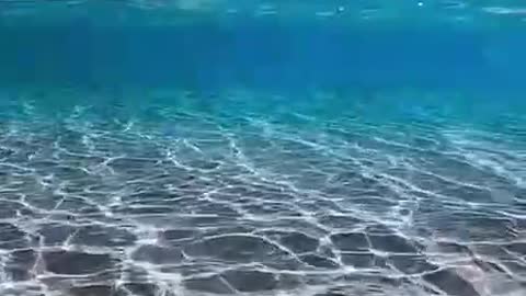 Sunny Ocean Happy Good Vibes