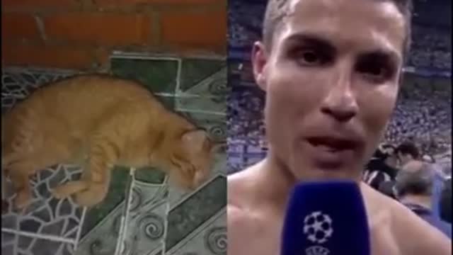 Cristiano Ronaldo Siuuu Cat