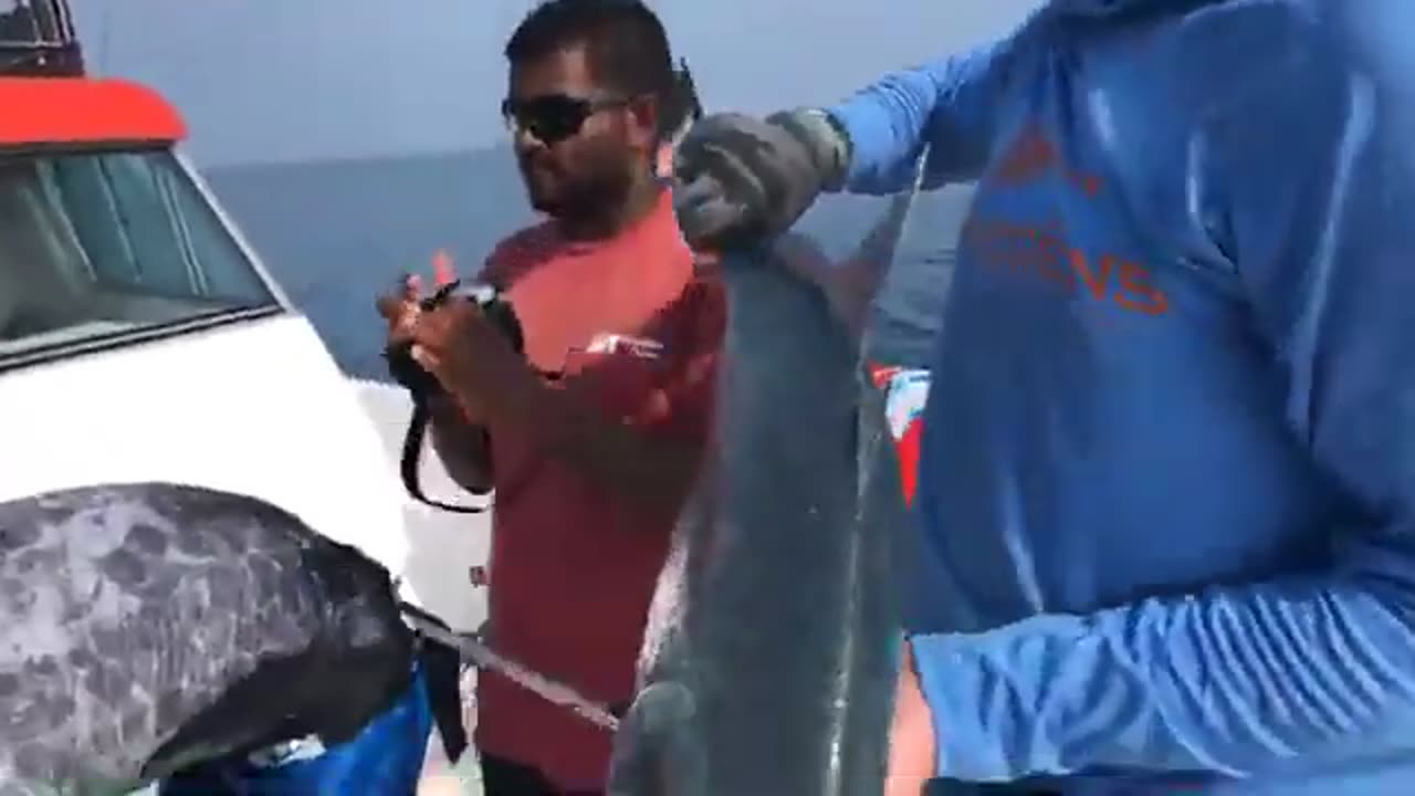 Sea Fishing From Maldives | Indian Ocean | Video 11