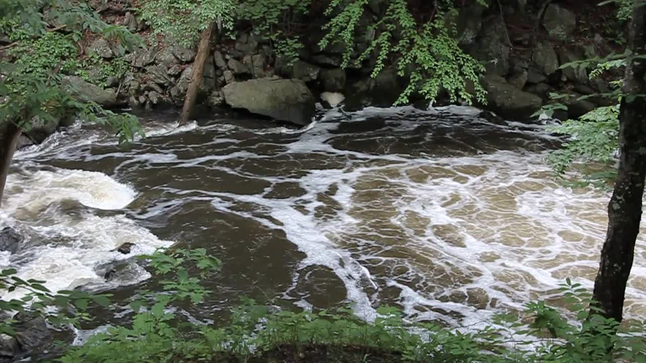 ROCKAWAY RIVER BOONTON GORGE JUNE 1 2021 Mvi 9619-1