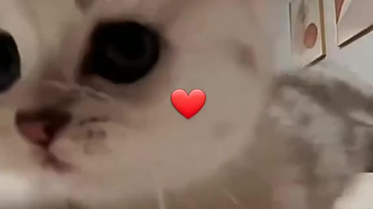😌🤗🤓