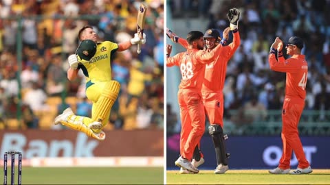 Australia Vs Netherlands Prediction Today's Cricket Match & Win Probability ICC World Cup