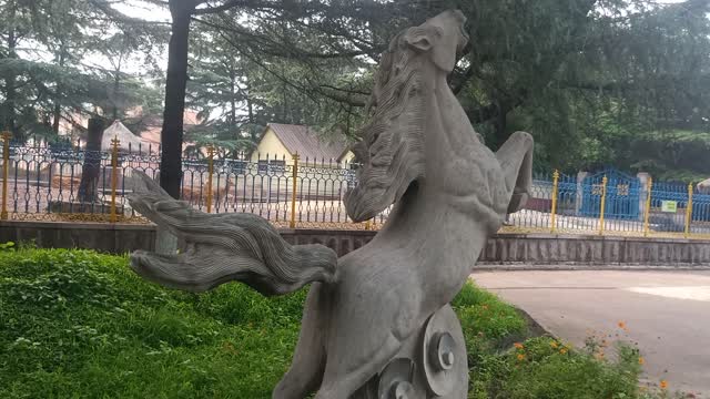 This horse is about to take off