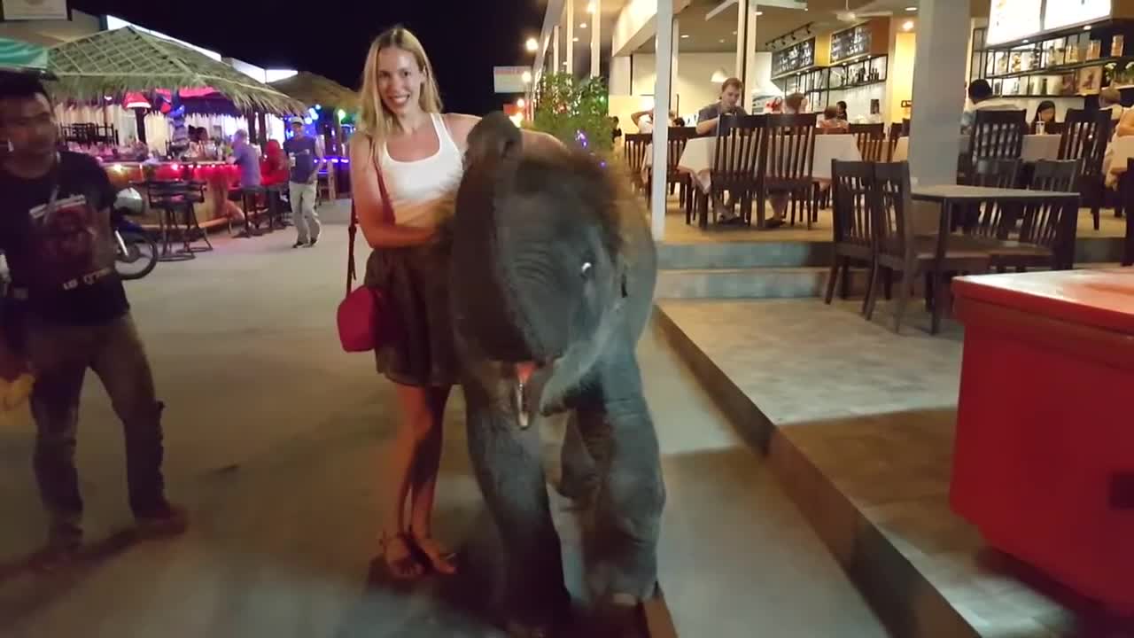 Cute Baby Elephant with my Girlfriend