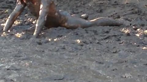 Naked Mud Monster