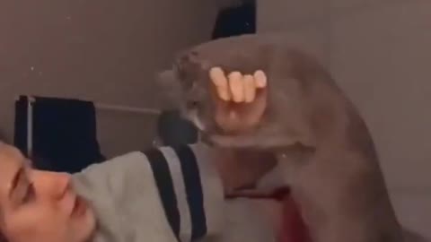 Смешные и милые животные _ Episode #4