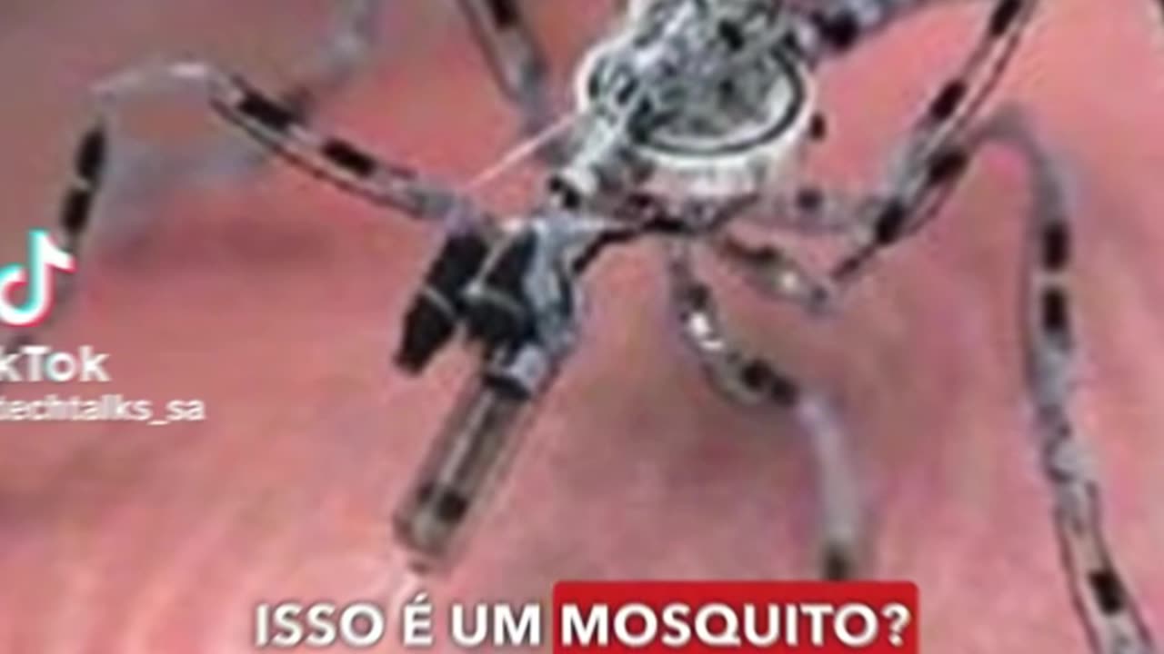 O INSETO DRONE ESPIÃO DO SISTEMA!!!