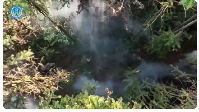 Chinese military video