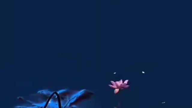 Nature_ Beutiful 🌅$horts Videos