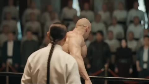 Amazing kungfu fight