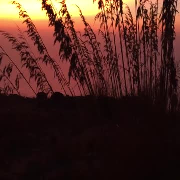 Most Beautiful Sunset 109